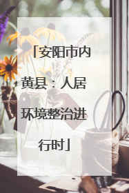 安阳市内黄县：人居环境整治进行时