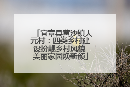 宜章县黄沙镇大元村：四类乡村建设扮靓乡村风貌 美丽家园焕新颜