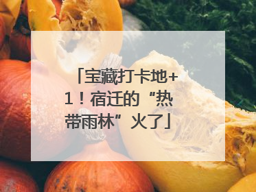 宝藏打卡地+1！宿迁的“热带雨林”火了