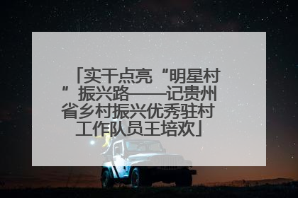 实干点亮“明星村”振兴路——记贵州省乡村振兴优秀驻村工作队员王培欢