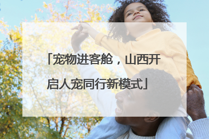 宠物进客舱，山西开启人宠同行新模式