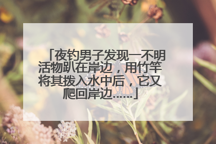 夜钓男子发现一不明活物趴在岸边，用竹竿将其拨入水中后，它又爬回岸边……