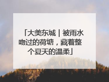 大美东城｜被雨水吻过的荷塘，藏着整个夏天的温柔
