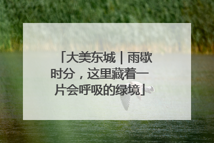 大美东城｜雨歇时分，这里藏着一片会呼吸的绿境
