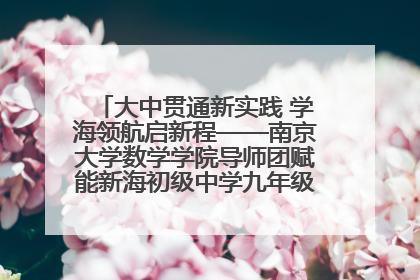 大中贯通新实践 学海领航启新程——南京大学数学学院导师团赋能新海初级中学九年级学子生涯规划
