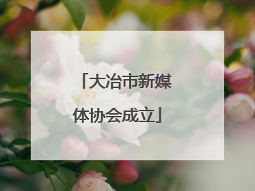 大冶市新媒体协会成立