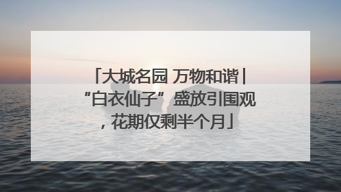 大城名园 万物和谐│“白衣仙子”盛放引围观，花期仅剩半个月