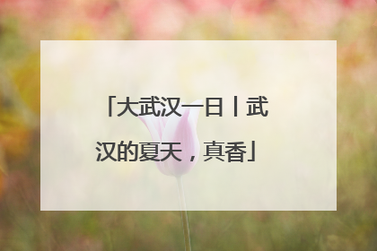 大武汉一日丨武汉的夏天，真香