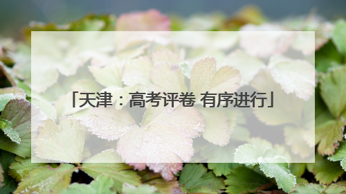 天津：高考评卷 有序进行