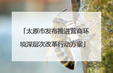 太原市发布推进营商环境深层次改革行动方案