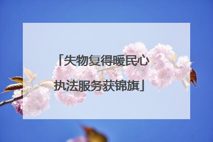 失物复得暖民心 执法服务获锦旗