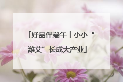 好品伴端午丨小小“潍艾”长成大产业