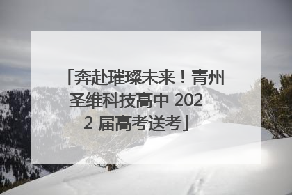奔赴璀璨未来！青州圣维科技高中 2022 届高考送考