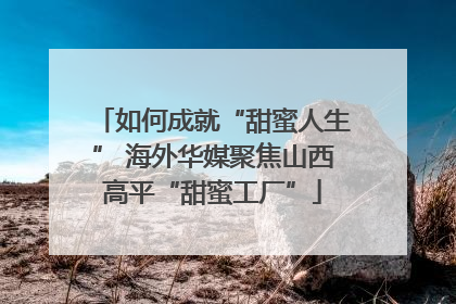 如何成就“甜蜜人生” 海外华媒聚焦山西高平“甜蜜工厂”