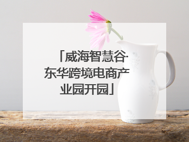 威海智慧谷·东华跨境电商产业园开园