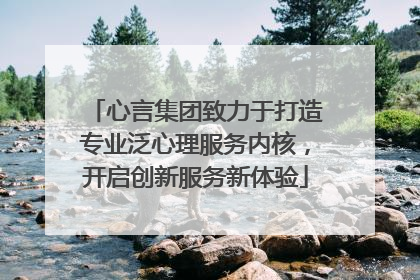 心言集团致力于打造专业泛心理服务内核，开启创新服务新体验