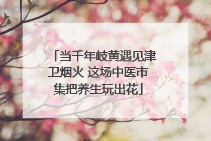 当千年岐黄遇见津卫烟火 这场中医市集把养生玩出花