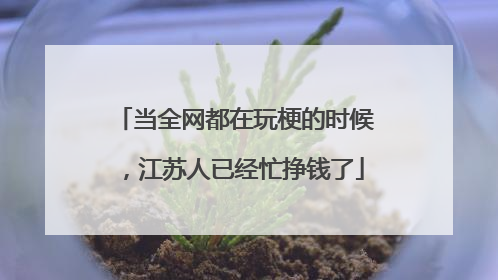 当全网都在玩梗的时候，江苏人已经忙挣钱了