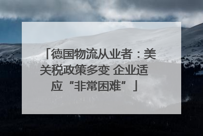 德国物流从业者：美关税政策多变 企业适应“非常困难”