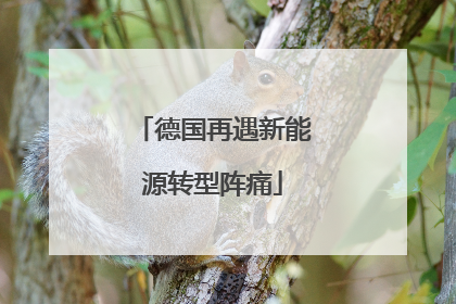 德国再遇新能源转型阵痛