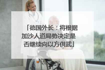 德国外长：将根据加沙人道局势决定是否继续向以方供武