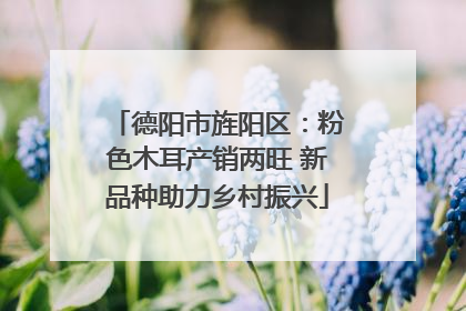 德阳市旌阳区：粉色木耳产销两旺 新品种助力乡村振兴