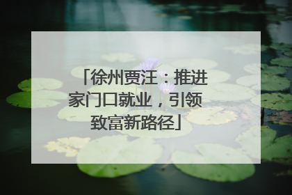 徐州贾汪：推进家门口就业，引领致富新路径