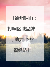 徐州铜山：打响区域品牌，助力“杏”福经济