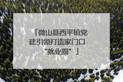 微山县西平镇党建引领打造家门口“就业圈”