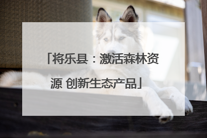 将乐县：激活森林资源 创新生态产品