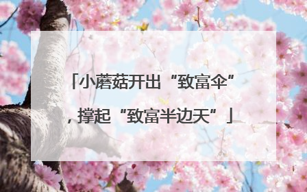 小蘑菇开出“致富伞”，撑起“致富半边天”