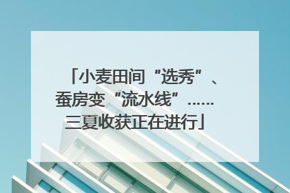 小麦田间“选秀”、蚕房变“流水线”……三夏收获正在进行