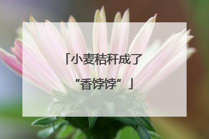 小麦秸秆成了“香饽饽”