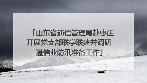 山东省通信管理局赴枣庄开展党支部联学联建并调研通信业防汛准备工作