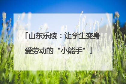 山东乐陵：让学生变身爱劳动的“小能手”