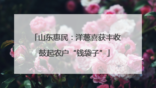 山东惠民：洋葱喜获丰收 鼓起农户“钱袋子”