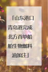 山东港口青岛港完成北方首单船舶生物燃料油加注