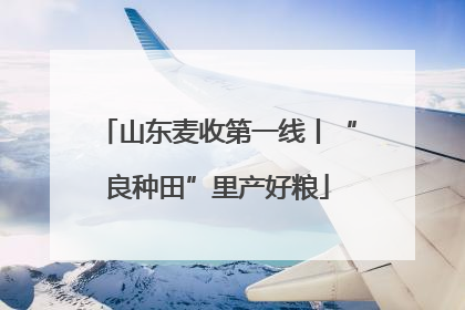 山东麦收第一线丨“良种田”里产好粮
