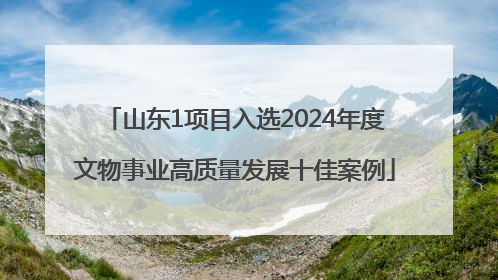 山东1项目入选2024年度文物事业高质量发展十佳案例