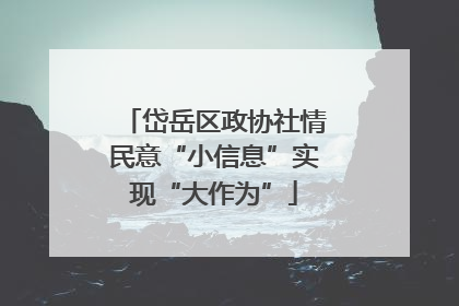 岱岳区政协社情民意“小信息”实现“大作为”