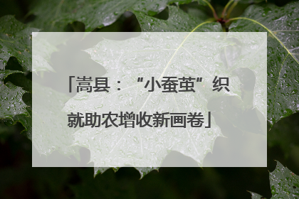 嵩县：“小蚕茧”织就助农增收新画卷