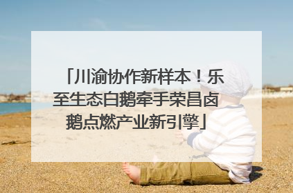 川渝协作新样本！乐至生态白鹅牵手荣昌卤鹅点燃产业新引擎