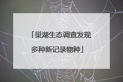 巢湖生态调查发现多种新记录物种