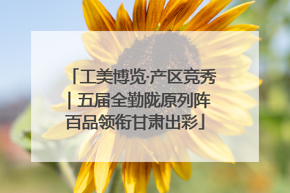 工美博览·产区竞秀｜五届全勤陇原列阵 百品领衔甘肃出彩
