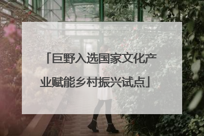 巨野入选国家文化产业赋能乡村振兴试点