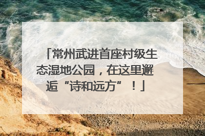 常州武进首座村级生态湿地公园，在这里邂逅“诗和远方”！
