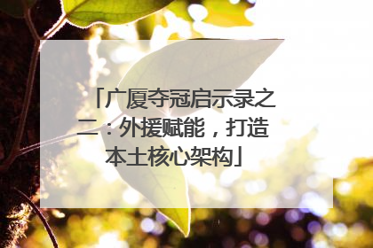 广厦夺冠启示录之二：外援赋能，打造本土核心架构