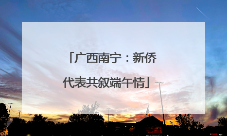 广西南宁：新侨代表共叙端午情