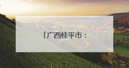 广西桂平市：数智赋能“一窗通办”解民忧