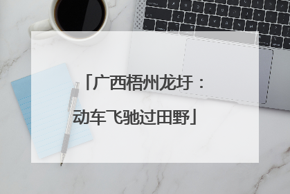 广西梧州龙圩：动车飞驰过田野